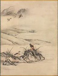 Flowers and Birds in a Spring Landscape