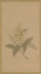 A Branch of Medlars