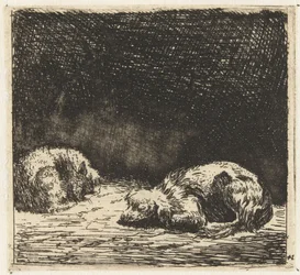 Sleeping Dog and Cat