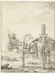 Two Mules