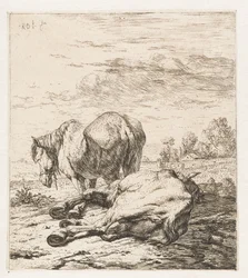 Two Horses
