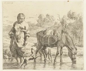 Woman and Donkey Standing in Shallow Water, a Dog Jumping at Her Feet