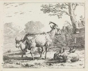 Four Goats