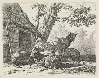 Four Sheep