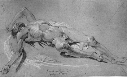 Lying Male Model