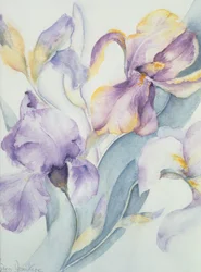Iris Mixed, Ola Kale and Mary Todd