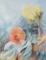 South Africa Protea