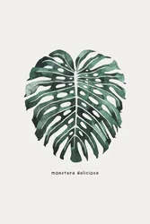 Monstera Leaf Watercolor