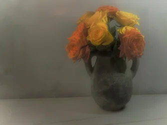 Soft Orange Yellow Roses