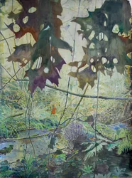Autumn Woodland Creek
