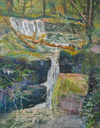 Forest Waterfall With Cat