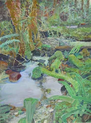 Mossy Forest Stream