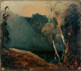 Forest and Lake