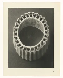 Plant Studies: Photographic Plant Images (series title)
