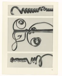 Plant Study (series title: Urformen der Kunst)