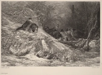 Sheltered from the Frost