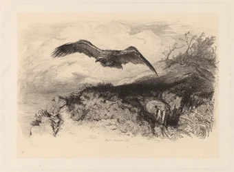 Eagle in Flight