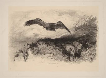 Eagle in Flight