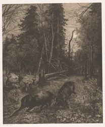 Forest Scene with Two Fighting Deer