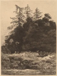Deer in a Park