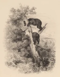 Two Bears