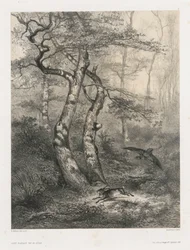 Hare Pursued by a Goshawk