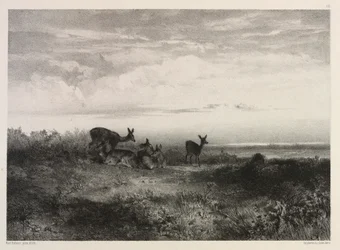 Landscape with Deer