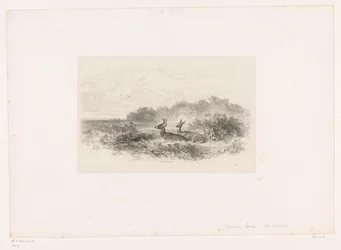 Landscape with Two White-Tailed Deer (Landscapes with Animals)