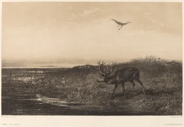 The Evening. Deer and Herons