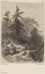The Pheasants