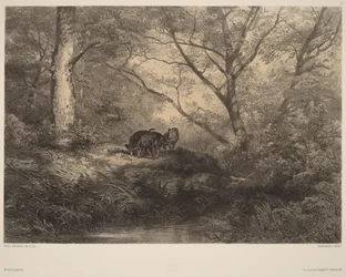 Wild Boar Piglets