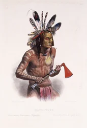 Mato-Tope, adorned with the Insignia of his Warlike Deeds