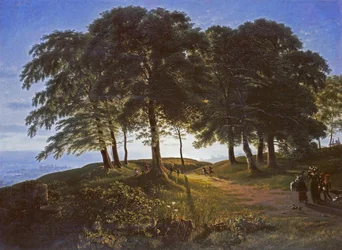 The Morning