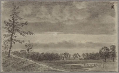 A Pasture with Trees and Cattle