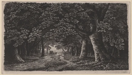 Forest Road with a Carriage