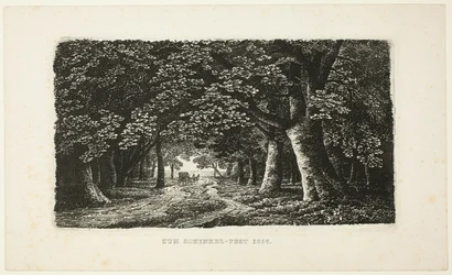 Woodland Path with a Coach