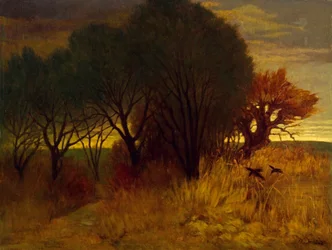 Moorland