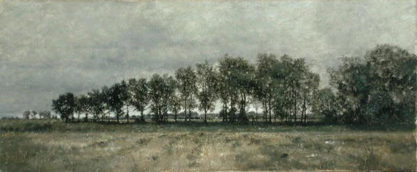 On the Edge of the Wood