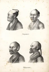 Busts of Japanese men with chonmage topknot hairstyle, and Chinese men with beards, one with pigtail (Lithograph by Karl Joseph Brodtmann from Heinrich Rudolf Schinz