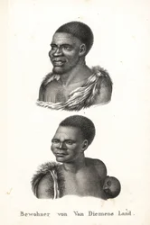 Natives of Tasmania, Van Diemen
