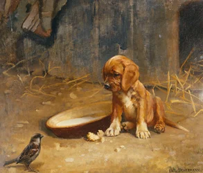 The Uninvited Guest