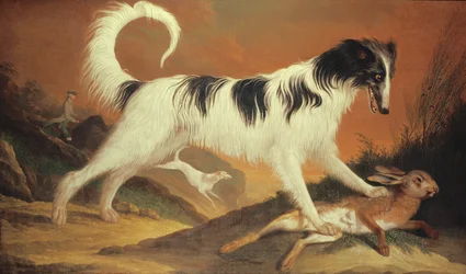 Dog and Hare