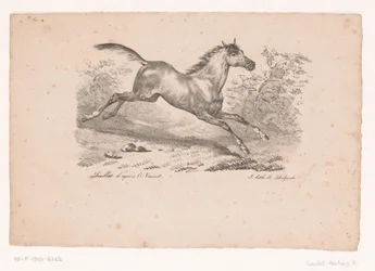 Galloping horse in landscape