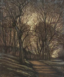 In the Park