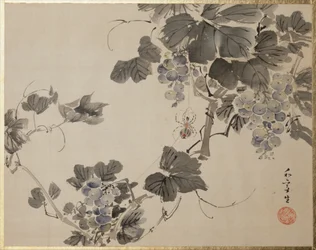 Flowers and Birds
