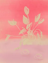 Raspberry Dream