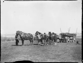 Broomfield, Broomfield And Kingswood, Maidstone, Kent, 06/04/1904