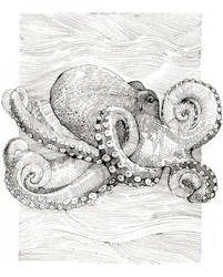Black and White Octopus Line Drawing