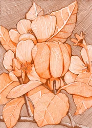 Hatched Orange Blossoms