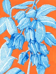 Vibrant Blue Botanicals
